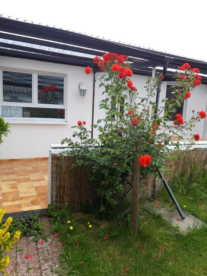 Bungalow Usedom Koserow Exterior photo